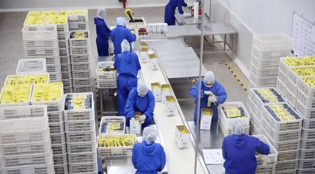 自動化工廠后端貨物管理不再頭疼,斯科的RFID技術方案有應對 2 自动化工厂后端货物管理不再头疼,斯科的RFID技术方案有应对(images 2)