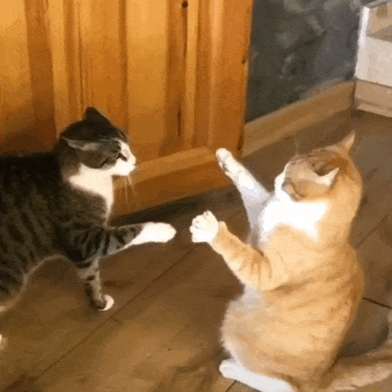 2025熱點King:RFID誰敢來硬碰硬? 5 2025热点King:RFID谁敢来硬碰硬?(images 5)