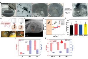 MIT團(tuán)隊(duì)研發(fā)可生物降解RFID膠囊，用于記錄真實(shí)用藥...
